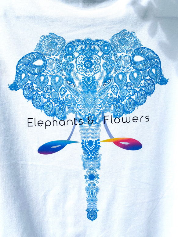 バックプリント 5.6オンス:ヘビーウエイトプリントTシャツ　elephants in rainbow 3枚目の画像