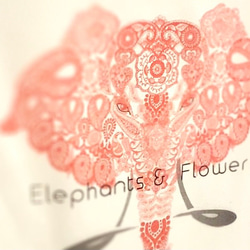 【M】5.6オンス:ヘビーウエイトプリントTシャツ　elephants and flowers 1枚目の画像