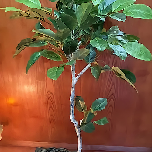 光触媒 人工観葉植物 ウォールグリーン フェイクフラワー バンヤン