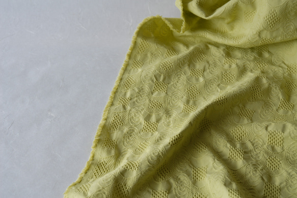 綿100％　遠州織物「ぐるぐる柄　若草色」 1枚目の画像