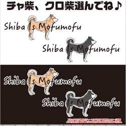 送料無料 柴犬 豆柴 黒柴 子犬 成犬 老犬 かわいい ワンポイント 肉球 もふもふ 犬用 中型犬 大型犬 小型犬 2枚目の画像