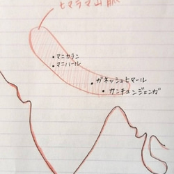 【送料無料】ヒマラヤ水晶ブレスレット 5〜6ミリ 11枚目の画像