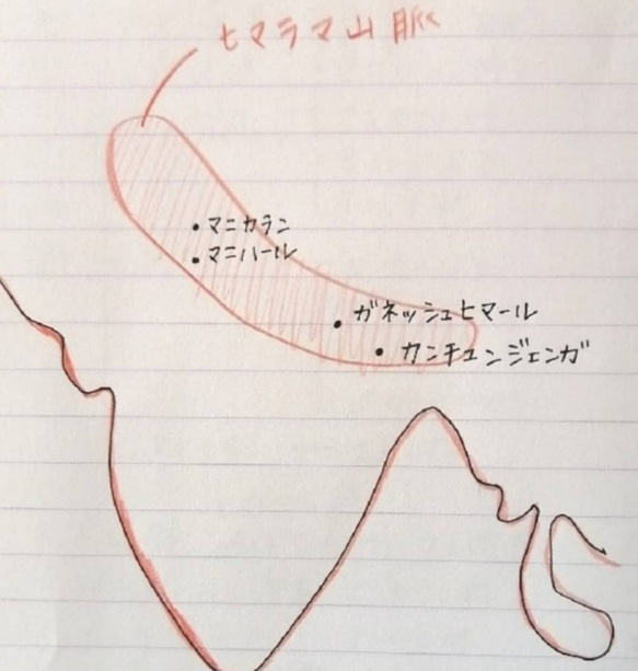 【送料無料】ヒマラヤ水晶ブレスレット 5〜6ミリ 11枚目の画像