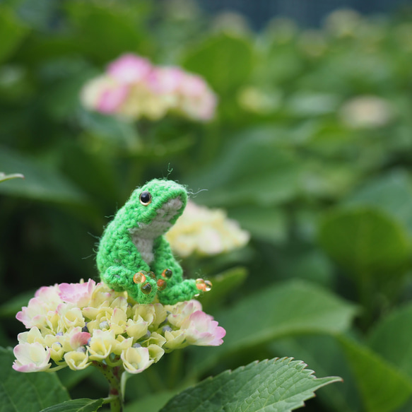 小さな小さなカエル（neon） 2枚目の画像