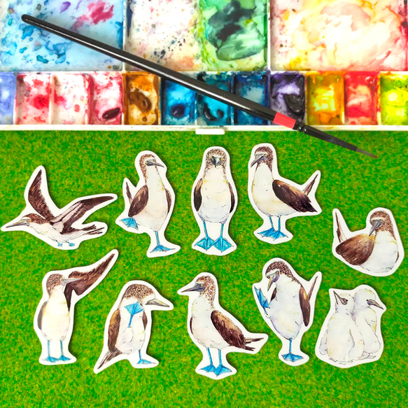 10枚セット】アオアシカツオドリの絵本風ミニステッカー 全10種類