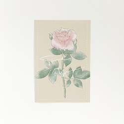 バラのポストカード3種セット グリーティングカード【A-3】 5枚目の画像
