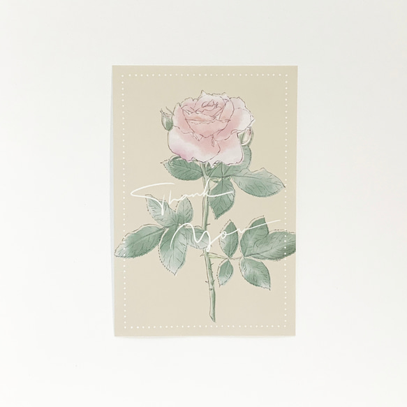 バラのポストカード3種セット グリーティングカード【A-3】 5枚目の画像