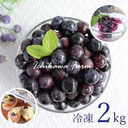 【2022年収穫】高知県産　太陽の恵み さんさんブルーベリー　冷凍ブルーベリー（500g×4袋） 1枚目の画像