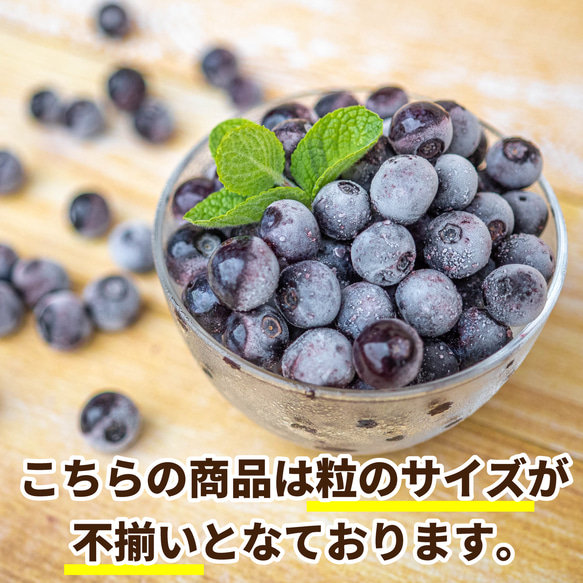 【2022年収穫】高知県産　太陽の恵み さんさんブルーベリー　冷凍ブルーベリー（500g×2袋） 2枚目の画像