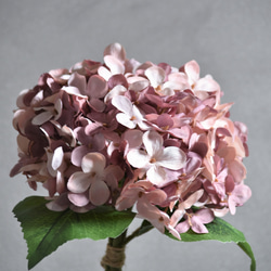 咲き続けるアンティークアジサイ(モーブピンク)　マジカルウォーター　癒しのフラワーインテリア 5枚目の画像