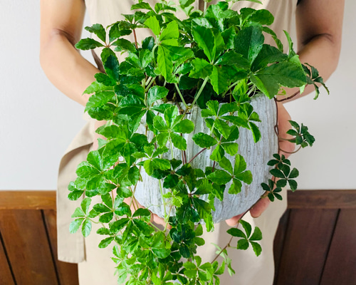 8eed8be68595c24b3b04c691a98b11