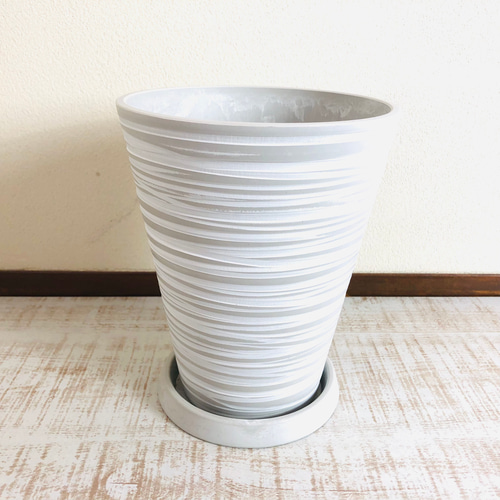 永遠の幸せ『フィカス ・アルテシマ』4号 ロング ホワイト 受け皿付き