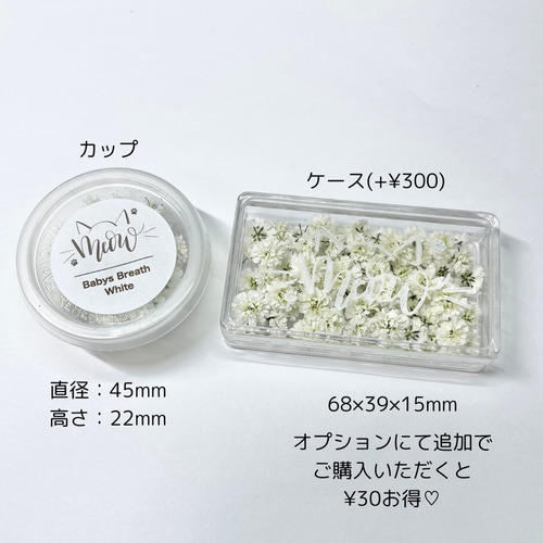 中小粒多め】かすみ草ドライフラワー✢ホワイトつめつめカップ 楽天