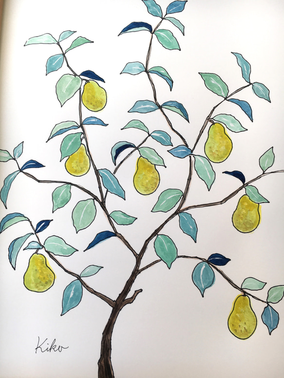 A4サイズ　水彩原画 洋梨の木 4枚目の画像
