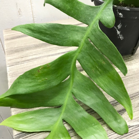  第10張的照片