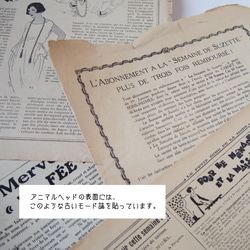 おとぎ話のアニマルヘッド「カエルの王子さま」 8枚目の画像