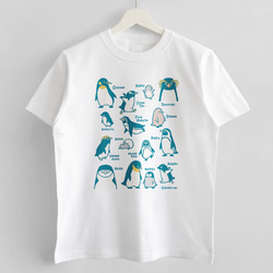 Tシャツ（とりずかん / ペンギン） 2枚目の画像