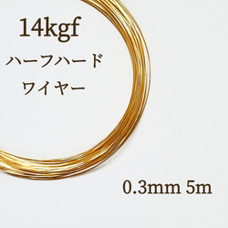 限定 14kgf 0.4mm ハーフハードワイヤー 200メートル・特別販売 金具
