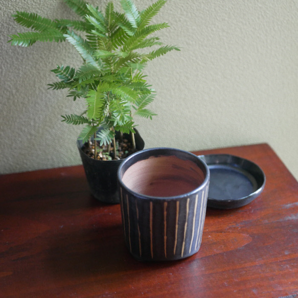 植木鉢　黒釉X金　縦縞　陶器　京焼 6枚目の画像