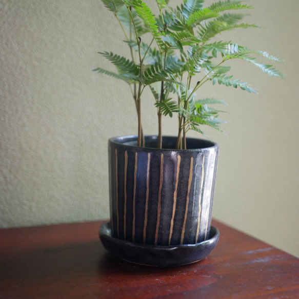 花盆 黑釉×黃金 縱紋 陶器 京焼 第3張的照片