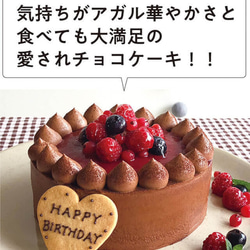 エスキィス チョコレートケーキwith Crimson berry 14cm 4.5号 誕生日ケーキ クリスマス 5枚目の画像