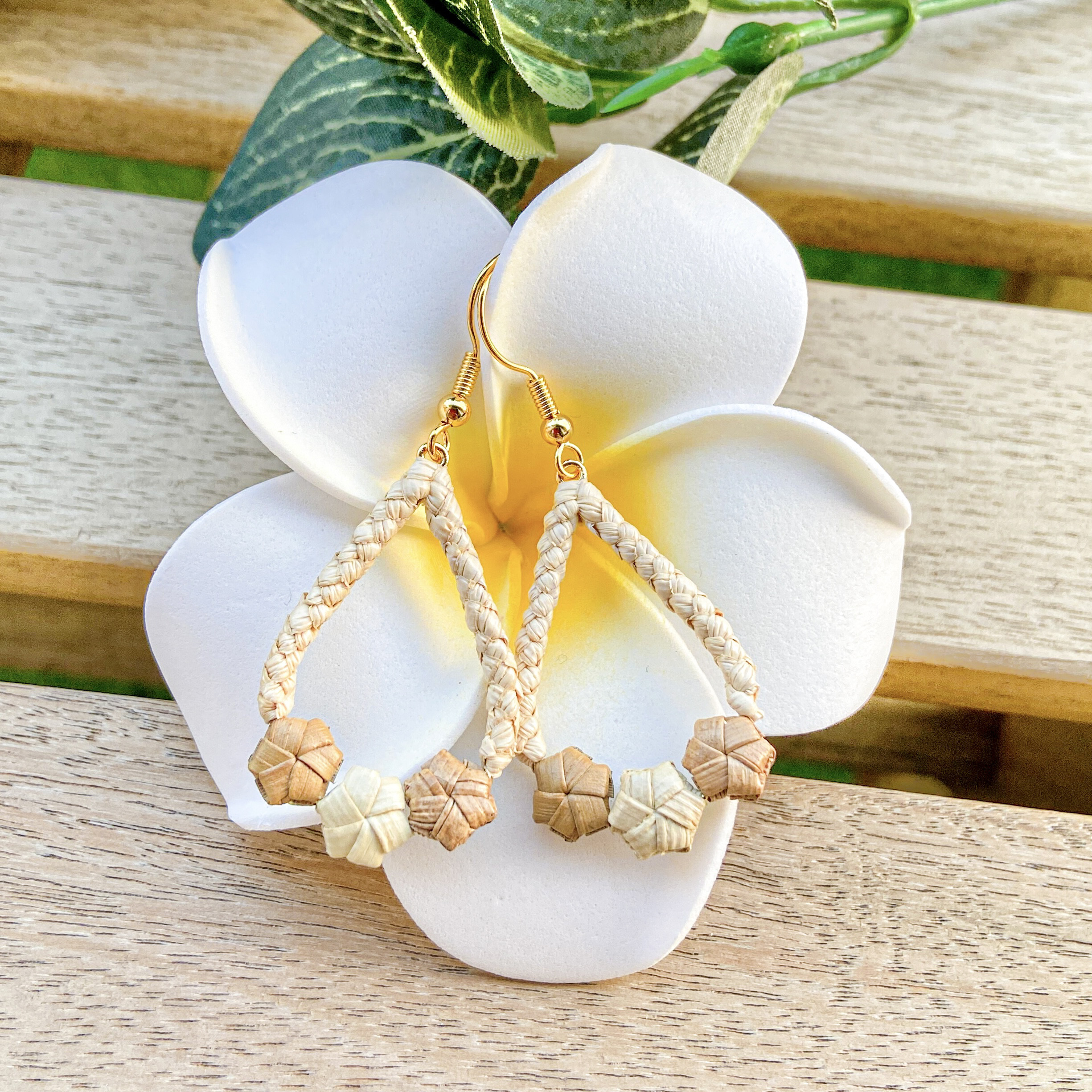 イプヘケ コーティング済 【公式通販】