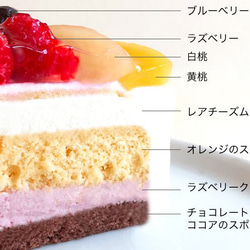 エスキィス 花束みたいなフルーツケーキ 16cm 5.5号 5〜6名様 誕生日ケーキ 7種のフルーツフレーバー 5枚目の画像