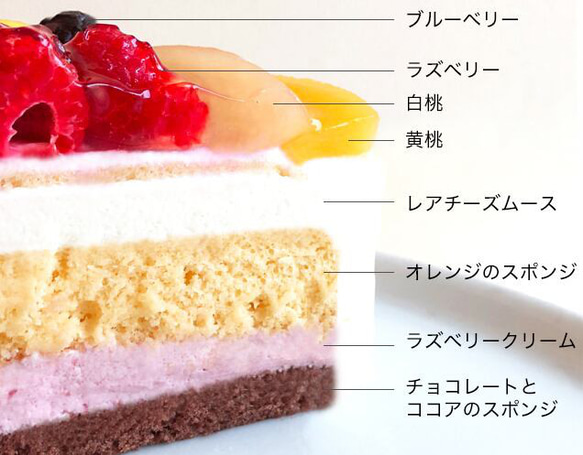 エスキィス 花束みたいなフルーツケーキ 16cm 5.5号 5〜6名様 誕生日ケーキ 7種のフルーツフレーバー 5枚目の画像