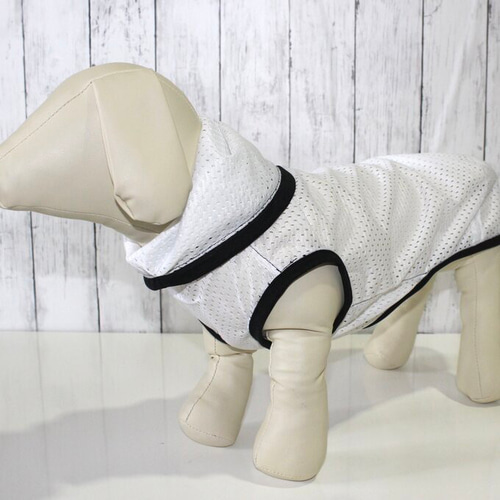 犬服　イタグレ服　タンクトップ Amazon | 名入れ SPEED STAR タンクトップ イタリアングレー