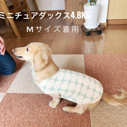 マスタードカラー　ダックスサイズ　ロングLサイズ　タンクトップ　犬の服　ペット　犬用タンク　犬服　 12枚目の画像
