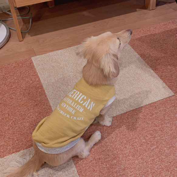 マスタードカラー　ダックスサイズ　ロングLサイズ　タンクトップ　犬の服　ペット　犬用タンク　犬服　 16枚目の画像