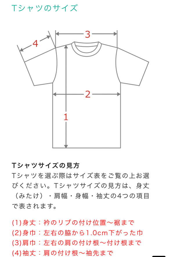 選べる！文鳥さんのイニシャルTシャツ 6枚目の画像