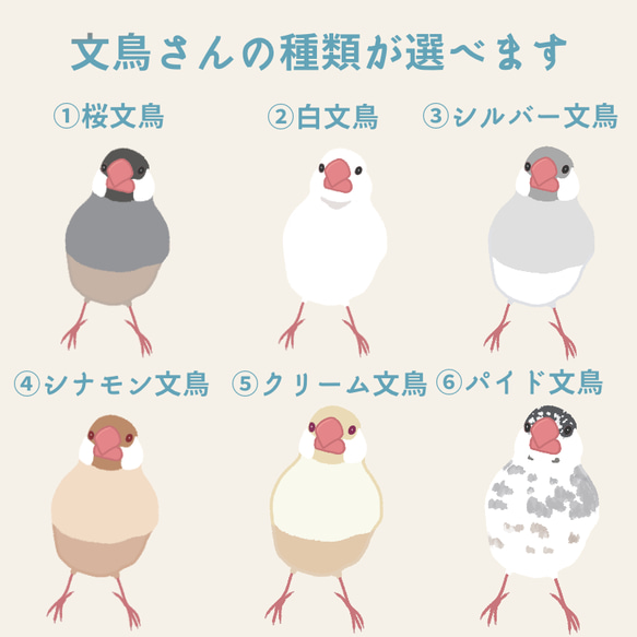 選べる！文鳥さんのイニシャルTシャツ 4枚目の画像