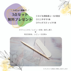 #14｜Crush✧氷ネイル /// Aurora × クリアパーツ シンプル ぷっくり 透明【ネイルチップ】 11枚目の画像