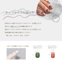 #14｜Crush✧氷ネイル /// Aurora × クリアパーツ シンプル ぷっくり 透明【ネイルチップ】 14枚目の画像