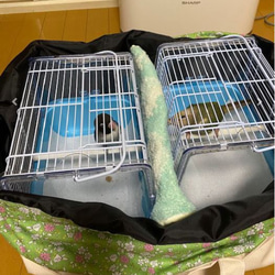 春・夏用 インコ 通院バッグ（鳥・小動物用）オーダーメイド  帆布 キャリーバッグ ※ショルダー、肩パッド付 9枚目の画像