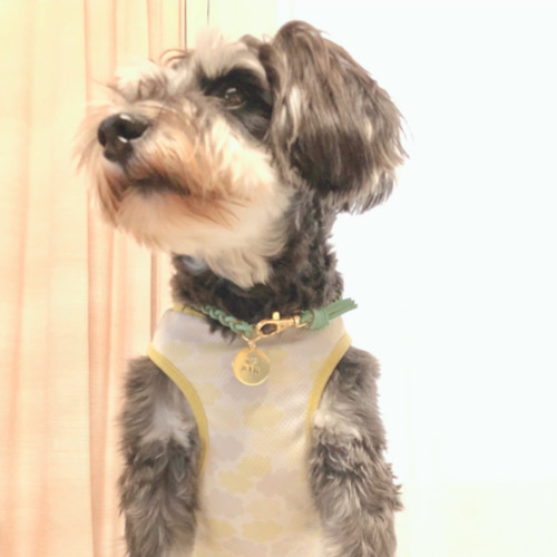 ⭐︎奇跡の雫⭐︎ 天然石 トパーズ と タグ 付きの選べるカラー 本革