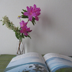 【おまかせ旬のお花】❀4回セット一輪挿し用　月曜日発送❀ 6枚目の画像