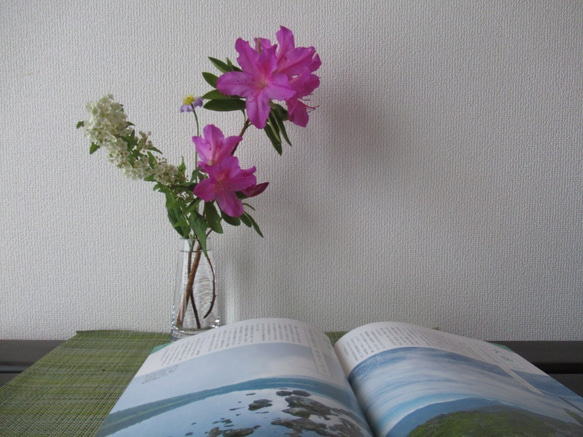 【おまかせ旬のお花】❀4回セット一輪挿し用　月曜日発送❀ 6枚目の画像