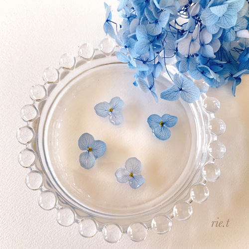 再販17【rie.t】本物の紫陽花 ピアス／イヤリング ピアス（スタッド  