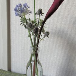 【おまかせ旬のお花】お試し❀一輪挿し用　月曜日発送❀ 5枚目の画像