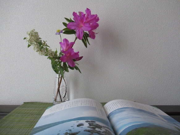 【おまかせ旬のお花】お試し❀一輪挿し用　月曜日発送❀ 7枚目の画像