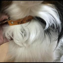 国産ブランド『栃木レザー』使用　首輪・リード　小型犬・中型犬・猫　ペット　ワンタッチ式　名入れ・送料無料 8枚目の画像
