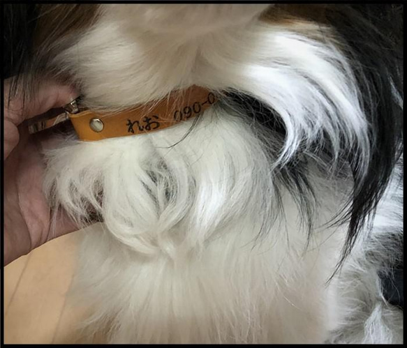 国産ブランド『栃木レザー』使用　首輪・リード　小型犬・中型犬・猫　ペット　ワンタッチ式　名入れ・送料無料 8枚目の画像