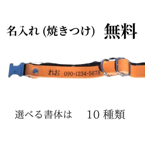 【coco】２本セット✨名入れ✨首輪とお揃い✨️小型犬用リード Amazon | Neskatu 犬 首輪 小型、中型、大型犬用首輪 かわいい