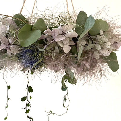 紫陽花とスモークツリーとユーカリのフライングリース/ドライ 紫陽花とスモークツリーとユーカリのフライングリース/ドライ