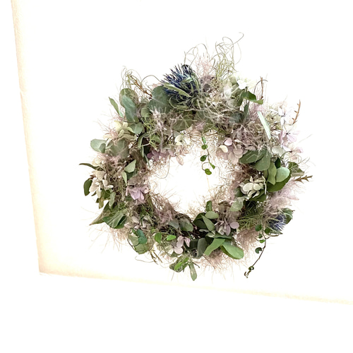 紫陽花とスモークツリーとユーカリのフライングリース/ドライ 紫陽花とスモークツリーとユーカリのフライングリース/ドライ