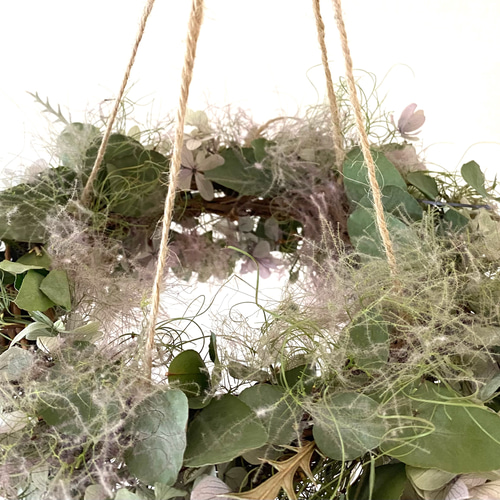 紫陽花とスモークツリーとユーカリのフライングリース/ドライフラワー/吊り下げリース/ハンギング リース irodori0012 通販|Creema(クリーマ) 14060139 紫陽花とスモークツリーとユーカリのフライングリース/ドライフラワー/吊り下げリース/ハンギング リース irodori0012 通販|Creema(クリーマ) 14060139