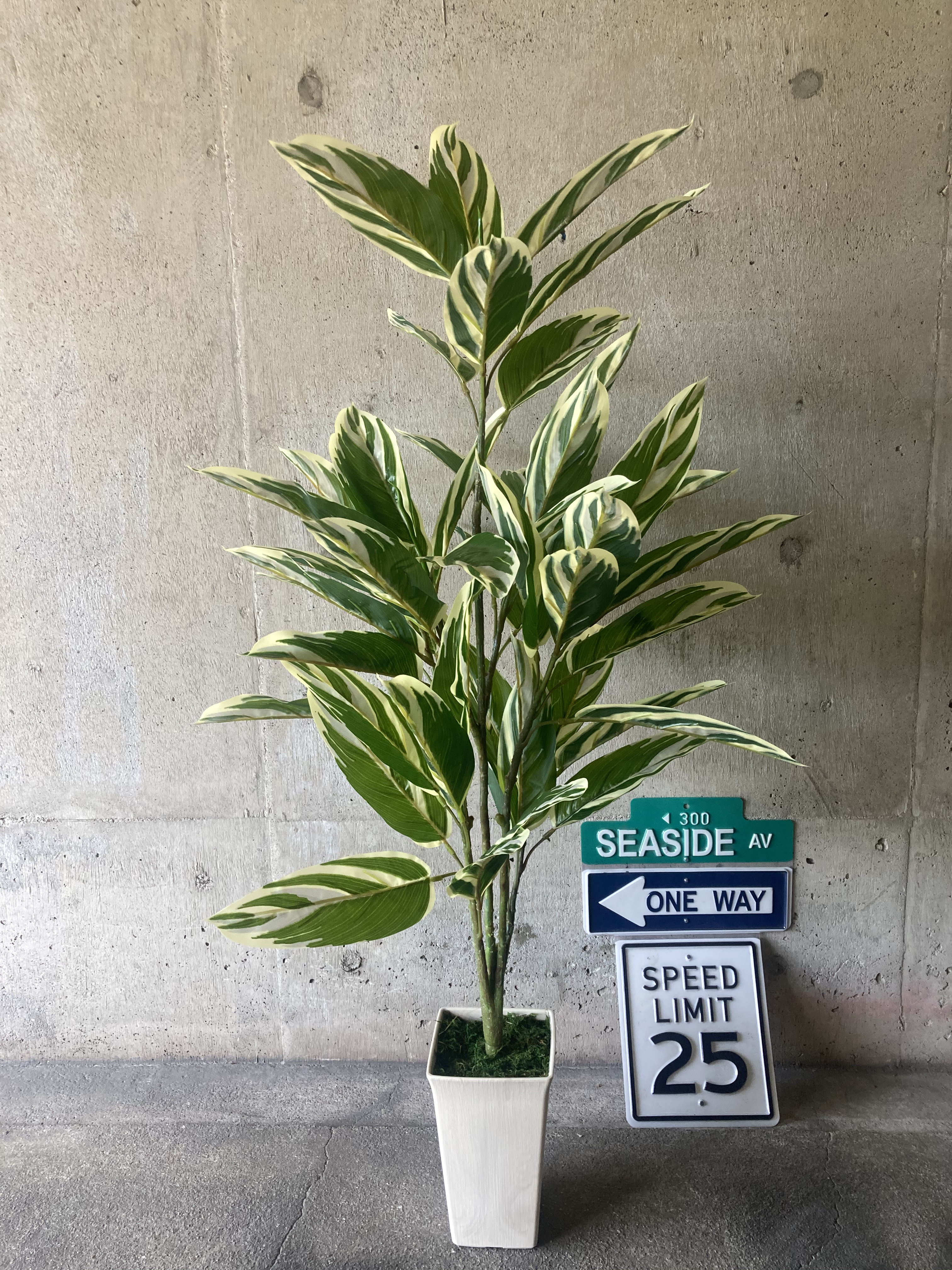 光触媒　人工観葉植物　ウォールグリーン　フェイク　フラワー　クテナンテ