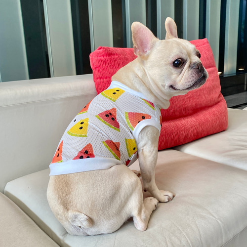 犬服ハンドメイド　メッシュスイカタンク 楽天市場】【 中型犬用 大型犬用 】犬 服 スイカ メッシュ